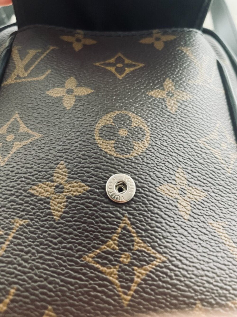 Louis Vuitton Monogram Macassar Christopher Wearable crossbody bag - Picture 7 of 9